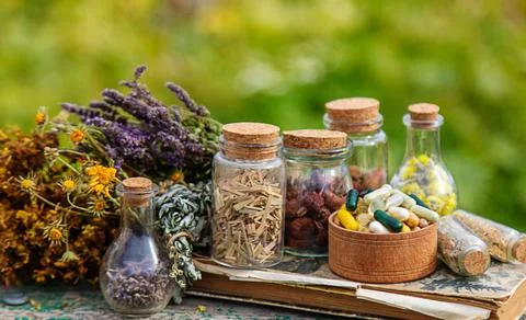 Dried medicinal herbs on the table. Selective focus. Stock Photos