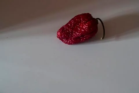 Dried Miniature Pepper, Dramatic Light Stock Photos