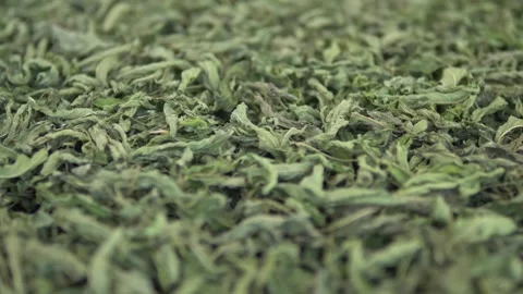 Dried mint that is added to soups and gives flavor, Stock Footage 246633058