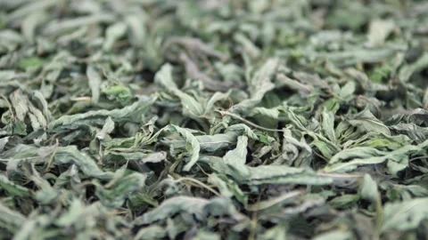Dried mint for colds in winter, 動画素材 246632833
