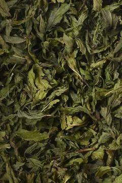Dried mint leaves background texture Stock Photos