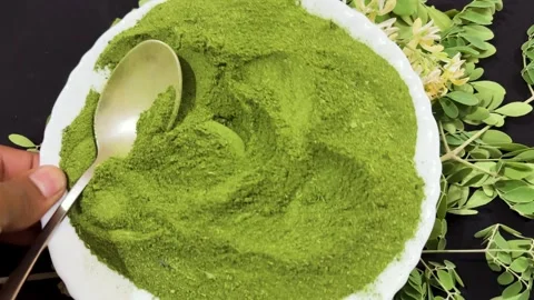 Dried moringa leaf powder in white plate with natural green foliage composition Stock Footage 334656112