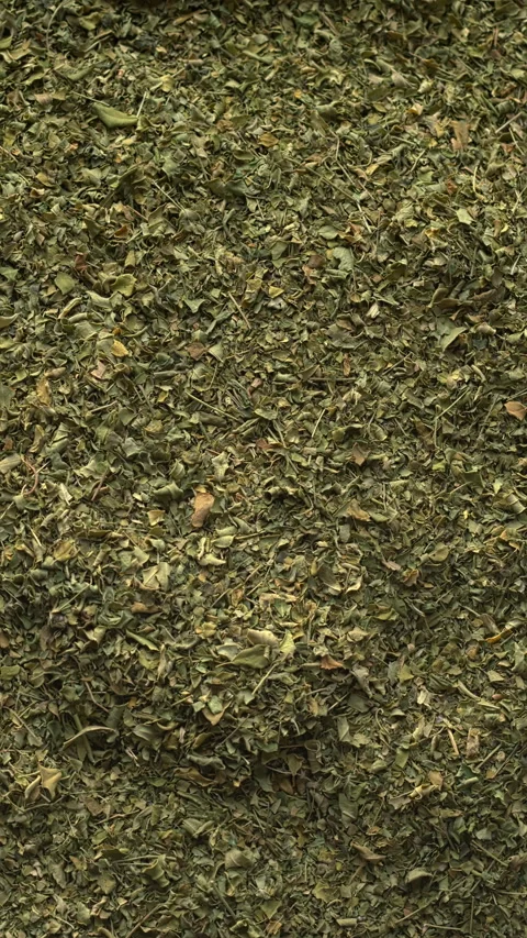 Dried Moringa oleifera leaves background. Vertical video. Stock Footage 277538409