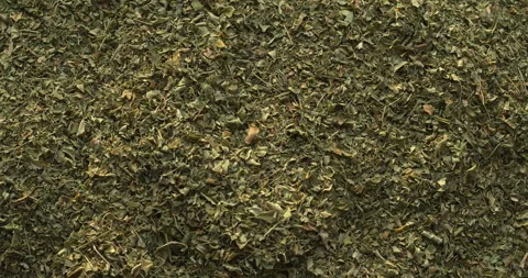 Dried Moringa oleifera leaves background. Stock Footage 277538495