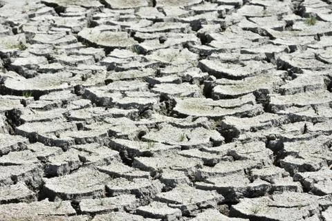Dried mud cracks Stock Photos