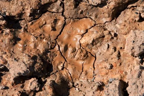 Dried mud has chocolate texture Foto stock