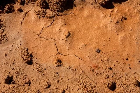 Dried mud has texture of chocolate Stock Photos