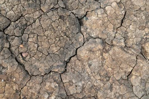 Dried mud Stock Illustration