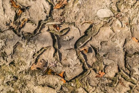 Dried mud layers curled up Stock Photos