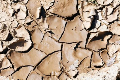 Dried mud Stock Photos