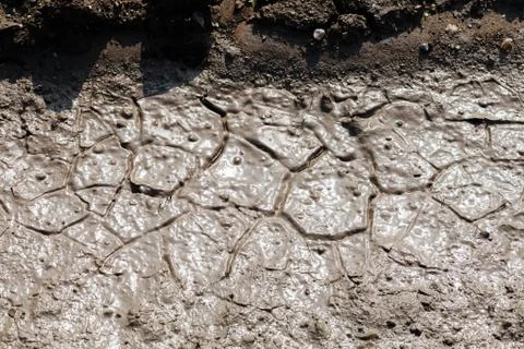 Dried mud Stock Photos