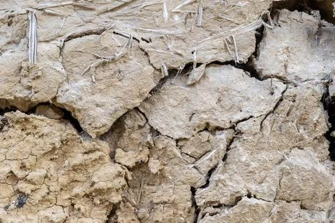 Dried mud surface with deep cracks and straw texture showing signs of aging.. Stock-Fotos