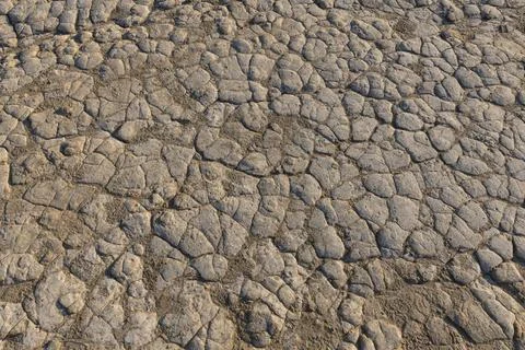 Dried Mud Texture Stock Photos