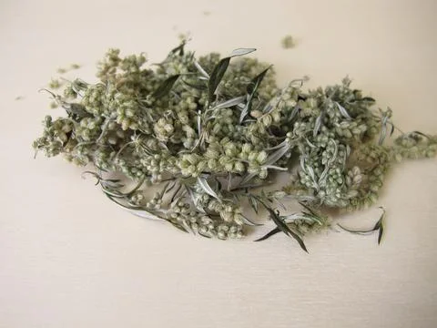 Dried Mugwort Foto stock