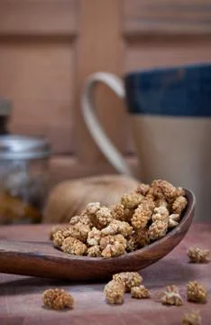 Dried mulberries Stock Photos