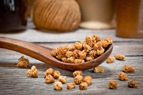 Dried mulberries Stock Photos