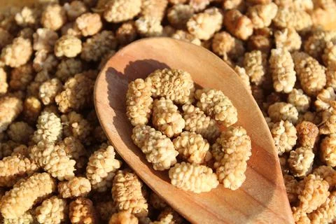 Dried mulberries Stock Photos