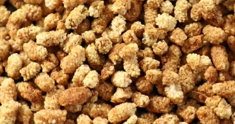 Dried mulberry berries rotating 4 Stock Footage 148180837