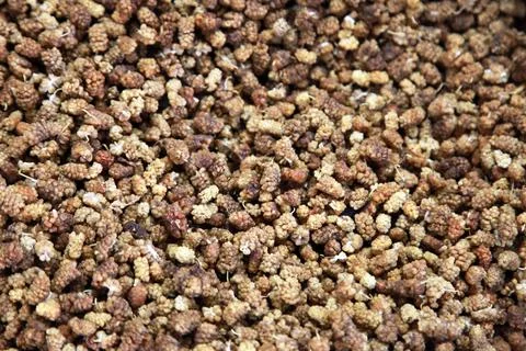Dried mulberry Stock Photos