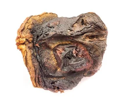 Dried mushroom. Stock-Fotos