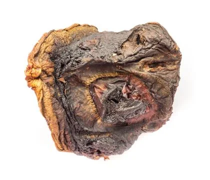 Dried mushroom. Stock-Fotos