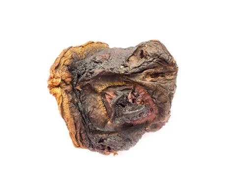 Dried mushroom. 스톡 사진