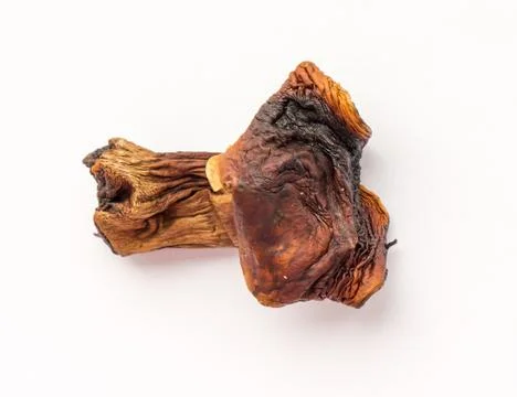 Dried mushroom. Stock Photos