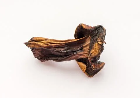 Dried mushroom. 스톡 사진