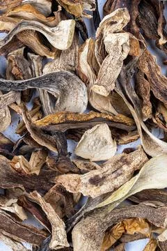 Dried mushroom in slice on white table Stock Photos