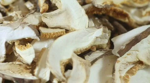Dried mushrooms Stock Footage 571963