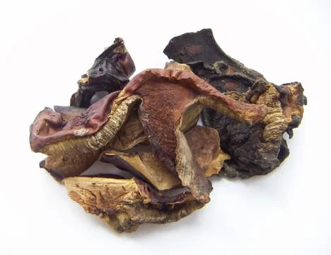 Dried mushrooms Stock Photos