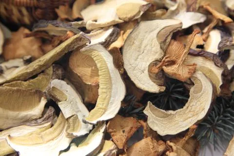 Dried mushrooms Stock Photos