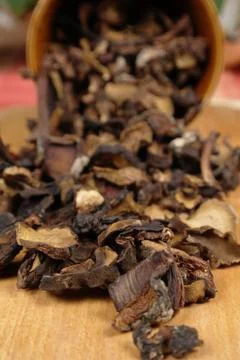 Dried mushrooms Stock Photos