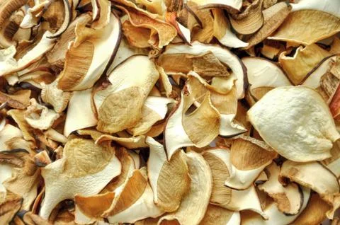 Dried mushrooms Stock Photos
