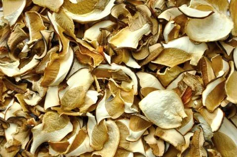 Dried mushrooms Stock Photos