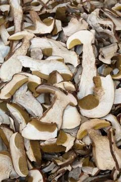 Dried mushrooms Foto stock