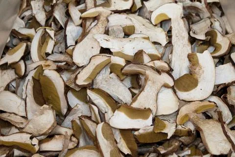 Dried mushrooms Stock Photos