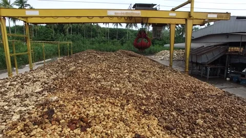 Dried Natural Raw Rubber Piled on Cement Ground with Mechanical Grabber Video stock 296523080
