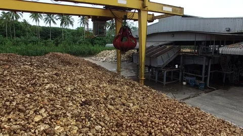 Dried Natural Raw Rubber Piled on Cement Ground with Mechanical Grabber Video stock 296523149