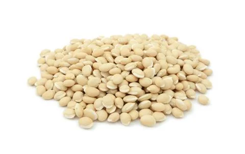 Dried neavy beans Stock Photos