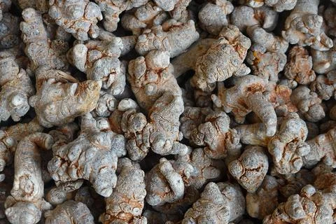 Dried Notoginseng Roots Background Stock Photos