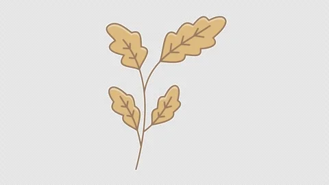 Dried oak leaves Vídeos de archivo 337891156