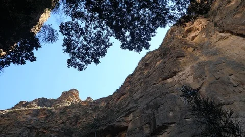 Dried Up Oasis Between In The Canyon De Maki, Isalo National Park Stock Footage 125344581