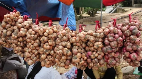 Dried onion, onion Stock Footage 47456573