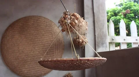 Dried onion, onion Stock Footage 47457042