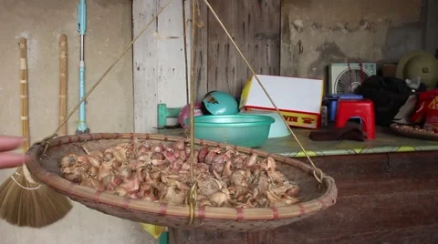 Dried onion, onion Stock Footage 47457079