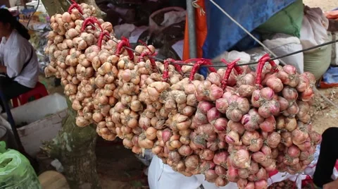 Dried onion, onion Stock Footage 47457147