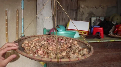 Dried onion, onion Stock Footage 47457390