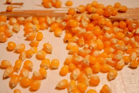 Dried orange corns on white backdrop. Stock Photos