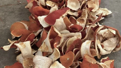 Dried orange peels are piled on a gray concrete floor. Citrus zest Video stock 341950472